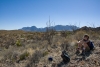 Big Bend Photos