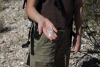 Big Bend Photos