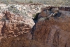 Big Bend Photos