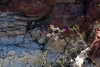 Big Bend Photos