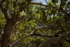 Big Bend Photos