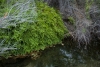 Big Bend Photos