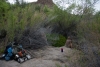 Big Bend Photos