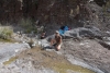 Big Bend Photos