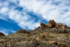 Big Bend Photos