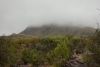 Big Bend Photos