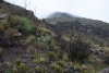 Big Bend Photos
