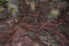Big Bend Photos