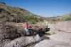 Big Bend Photos