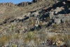 Big Bend Photos