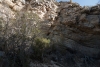 Big Bend Photos