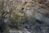 Big Bend Photos