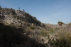 Big Bend Photos