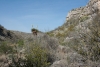 Big Bend Photos