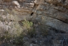 Big Bend Photos