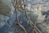 Big Bend Photos
