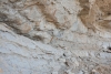 Big Bend Photos