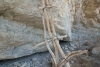 Big Bend Photos