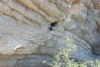 Big Bend Photos