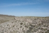 Big Bend Photos