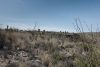 Big Bend Photos