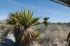 Big Bend Photos