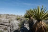 Big Bend Photos