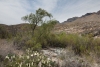 Big Bend Photos