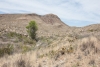 Big Bend Photos