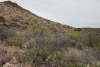 Big Bend Photos