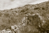 Big Bend Photos