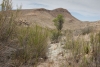 Big Bend Photos