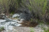 Big Bend Photos