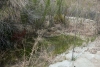 Big Bend Photos