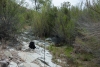 Big Bend Photos