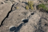 Big Bend Photos