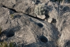 Big Bend Photos