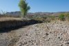 Big Bend Photos