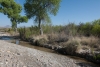 Big Bend Photos