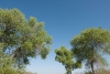 Big Bend Photos