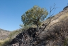 Big Bend Photos