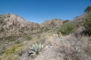 Big Bend Photos