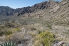 Big Bend Photos