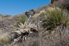 Big Bend Photos