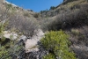 Big Bend Photos