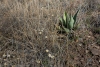 Big Bend Photos