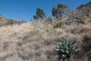 Big Bend Photos