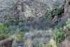 Big Bend Photos