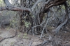 Big Bend Photos