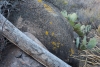 Big Bend Photos